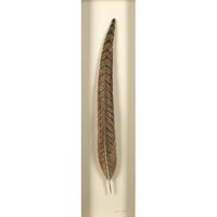 "Pheasant Feather"  by Bill Rice - basswood/oil
