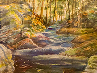 Justine Coleman, "Hidden Falls"